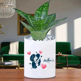 Golden Money Plant in a Mother's Day themed white planter with heart accents, ideal for indoor or outdoor gifting and home decoration.